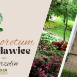 Jesienna podróż do Arboretum w Wojsławicach oraz Strzelina